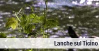 Il Ticino