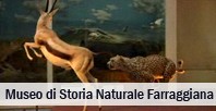 Museo Faraggiana - Novara